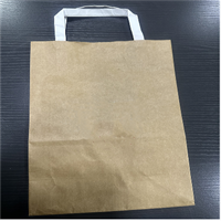 Paper bag from DisposablesInc.com The best import service in China. Import your disposable items and products from us.